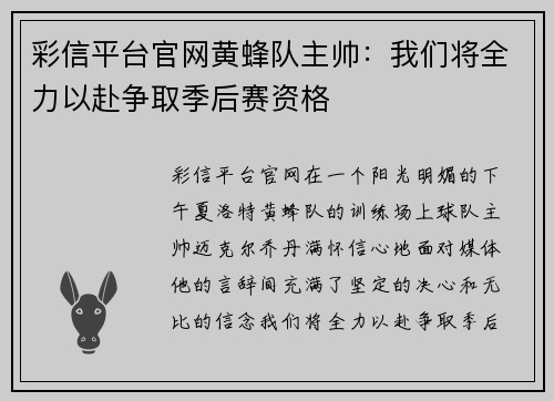 彩信平台官网黄蜂队主帅：我们将全力以赴争取季后赛资格